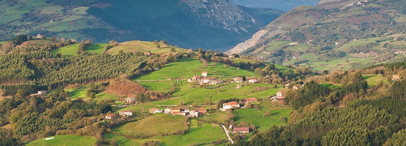 Razas ovinas autóctonas de fomento: la oveja Carranzana