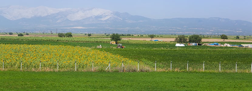 UdU considera 2019 uno de los peores años para el sector agropecuario