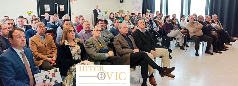 El futuro de la carne de ovino y caprino en el V Seminario INTEROVIC