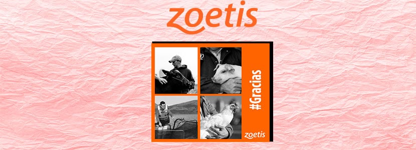 Zoetis quiere reconocer la labor del sector con su campaña #GRACIAS