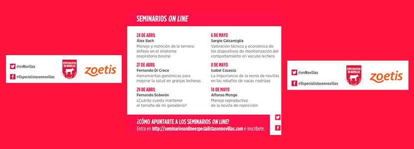 Zoetis ofrece formación online para “Especialistas en novillas”