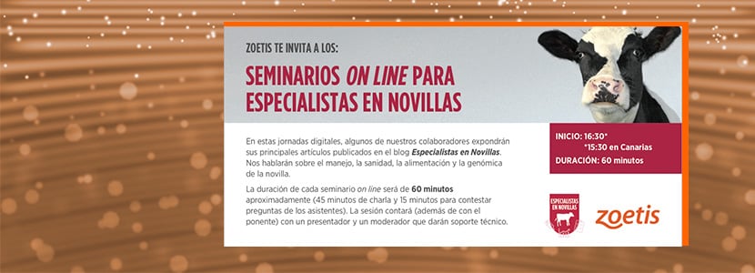 1400 profesionales asisten a los Seminarios online para Especialistas en novillas