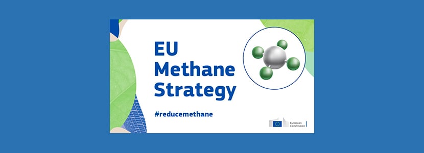 Union de Uniones lamenta que la estrategia europea de metano criminalice a la ganadería