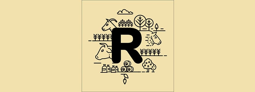 Ya disponible el 5º episodio del podcast Rumiland: “La BVD en cebo con Cristina Estrada”