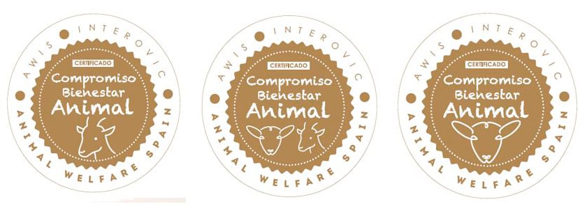 Nace AWIS, el primer certificado de bienestar animal para productos ovinos y caprinos