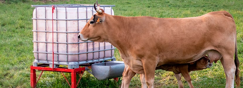 Las características del sistema agrario asturiano tendrán encaje en la nueva PAC