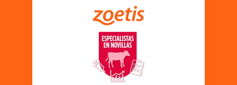 Especialistas en Novillas culmina sus seminarios online 2020