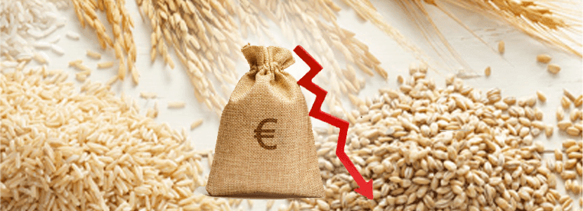 Hemos tocado un primer suelo tras la fuerte bajada de precios. A partir de ahora ¿qué?