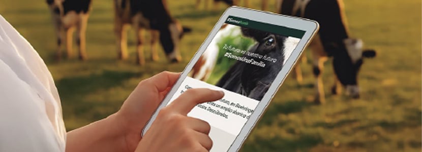 Somos Rumis: la plataforma de Boehringer Ingelheim para los profesionales de la ganadería y la veterinaria