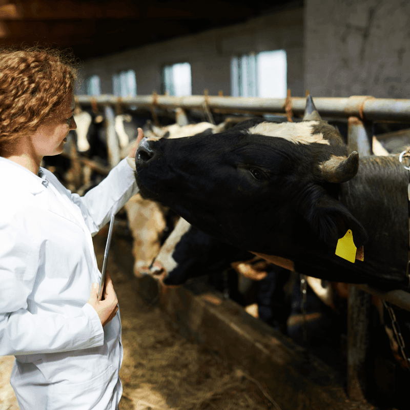 Los veterinarios reclaman su papel para reforzar la bioseguridad