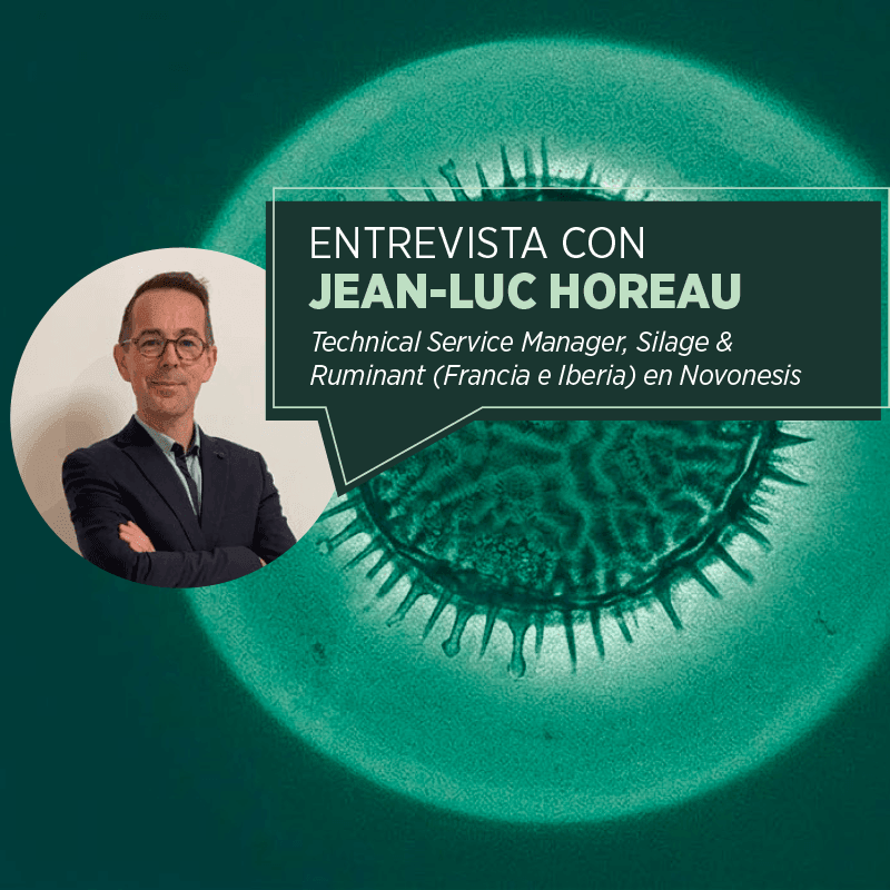 Bovacillus™: Un nuevo capítulo en la nutrición de rumiantes