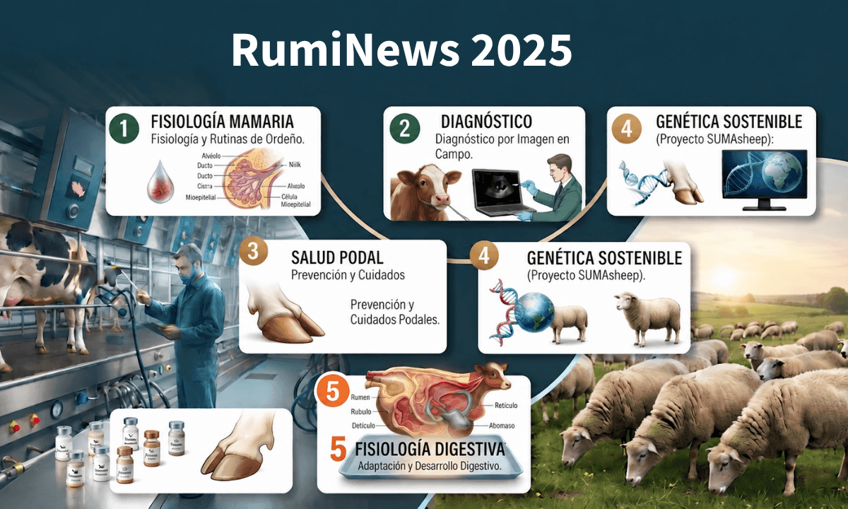 5 claves esenciales de 2025 para el ganado rumiante: lo mejor de rumiNews