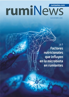 Revista rumiNews Noviembre 2019
