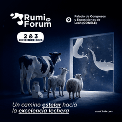 RUMIFORUM
