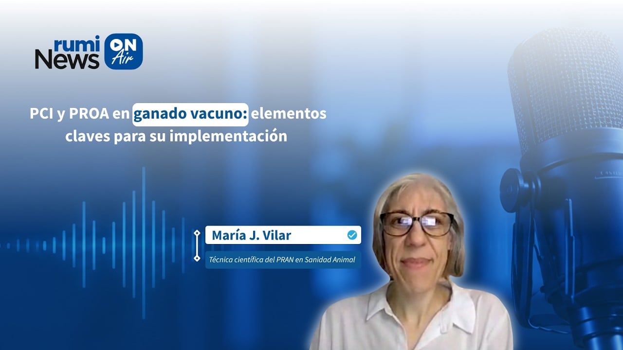 Claves de los programas PCI y PROA en ganado vacuno – con María Vilar