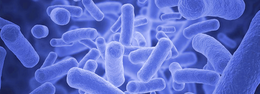 Serología y test de tuberculina - Optimizando la detección de Tuberculosis en cabras