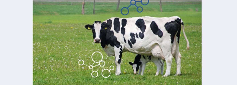 Nuevos modelos de predicción de emisión de metano en vacuno de leche