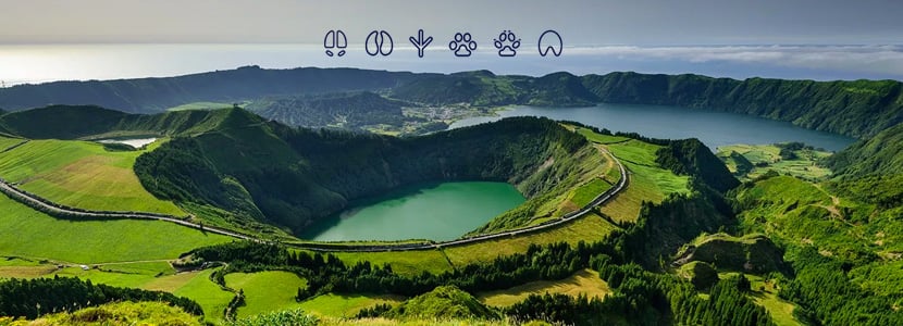 Boehringer Ingelheim organiza un viaje formativo a las Azores