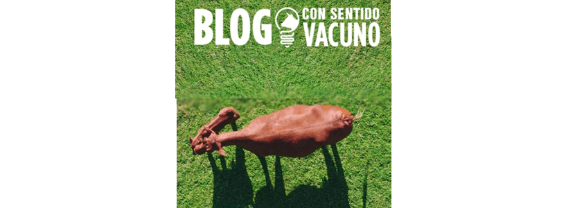 Zoetis presenta el blog y redes sociales “Con Sentido Vacuno”