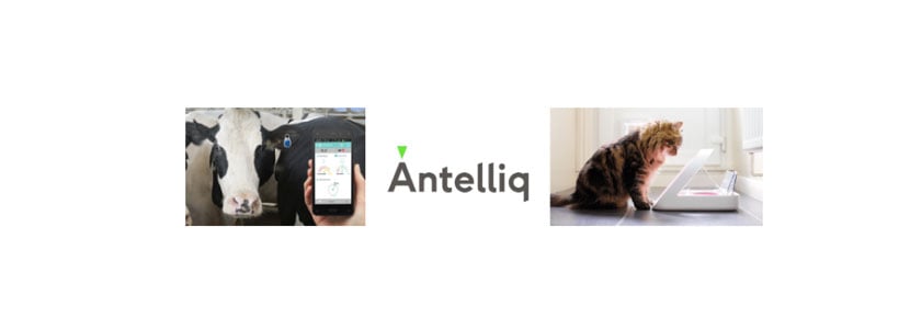 MSD Adquirirá al grupo Antelliq