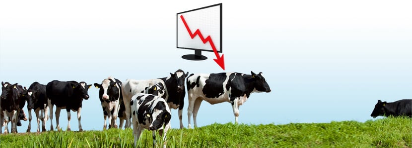 El censo español de vacas lecheras cayó en un 2% en 2018