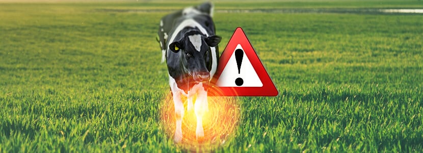 Velocidad de la marcha - ¿Un indicador de cojeras en vacas?