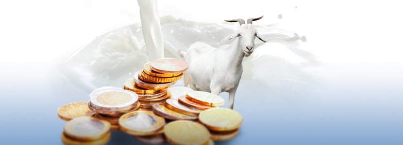 Puesta en valor de la leche de cabra - Una necesidad acuciante