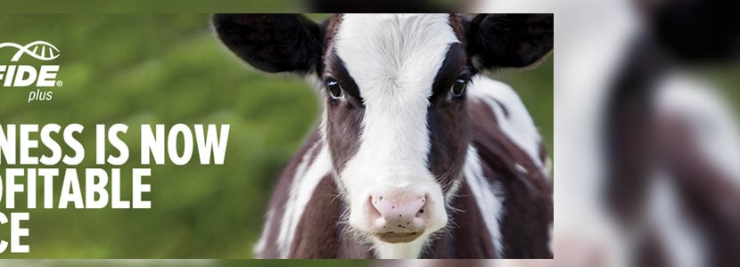 CLARIFIDE® Plus identifica a animales con el mayor potencial genético