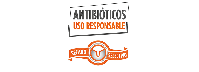 Zoetis revela resultados preliminares del proyecto “Secado Selectivo”