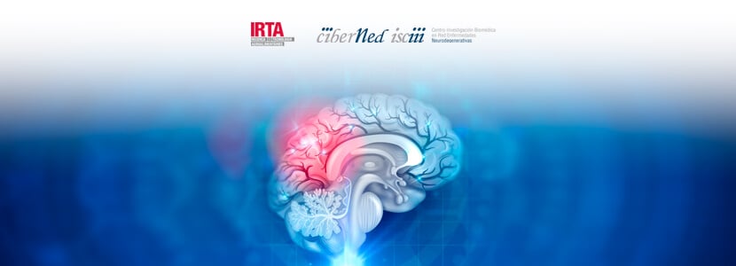 IRTA y CIBERNED firman un convenio para investigar las EET