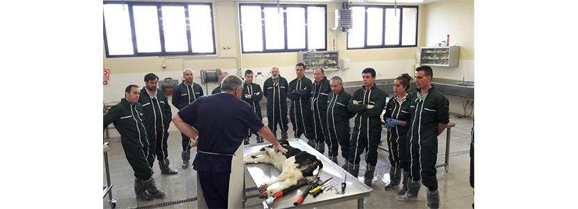 Talleres de diagnóstico de SRB en 3ª edición de las Jornadas Bovalto