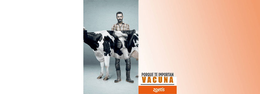 Zoetis conciencia sobre la importancia de vacunar a los animales
