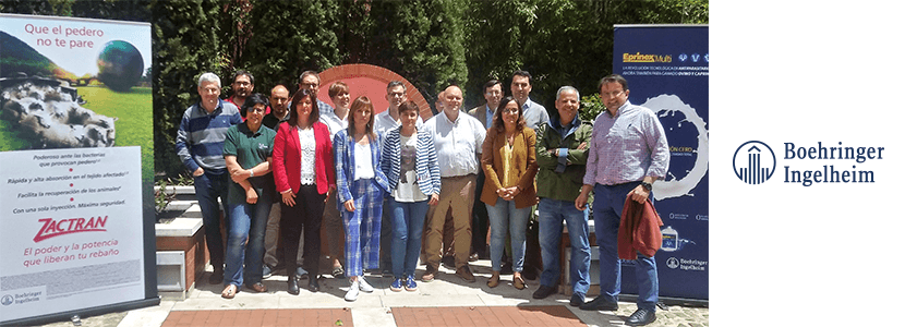 Grupo de expertos de Solomamitis de pequeños rumiantes celebra II encuentro en Valladolid