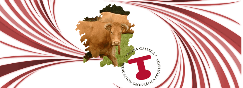 Ternera Gallega - Referente de calidad para el sector del vacuno de carne