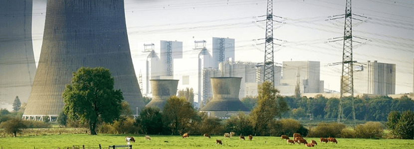Cambio climático - ¿Es justo culpabilizar al sector ganadero?