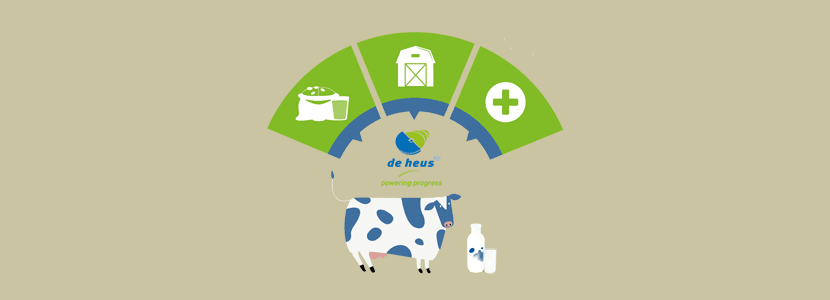 Alimentación y bienestar animal unidos en la producción de leche