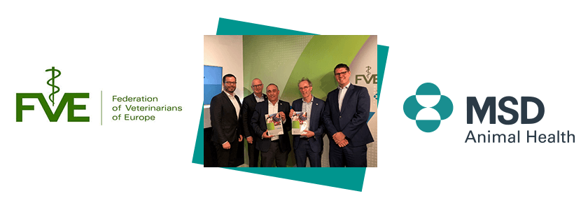 European Veterinary Survey 2018: VetSurvey 2018 el veterinario del futuro