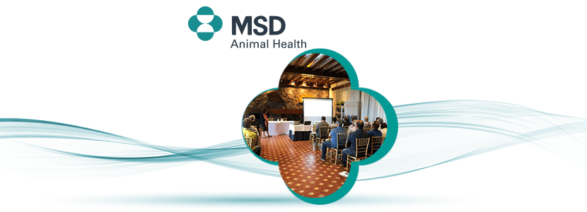MSD Animal Health celebra su VII Jornada del Pilar de Vacuno de Cebo