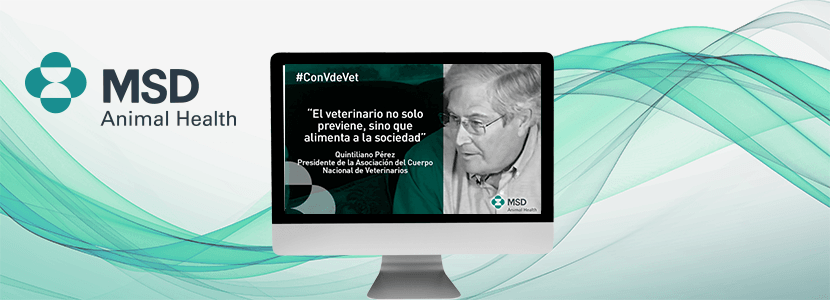 Unificando servicios veterinarios, serviremos mejor al país y reforzaremos la profesión