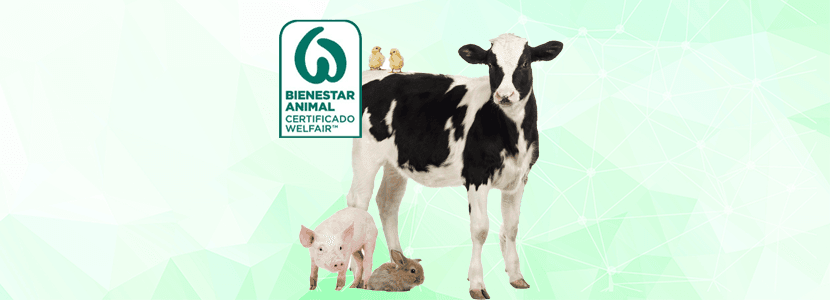 Certificación WELFAIR TM - Con la mirada puesta en el comportamiento animal