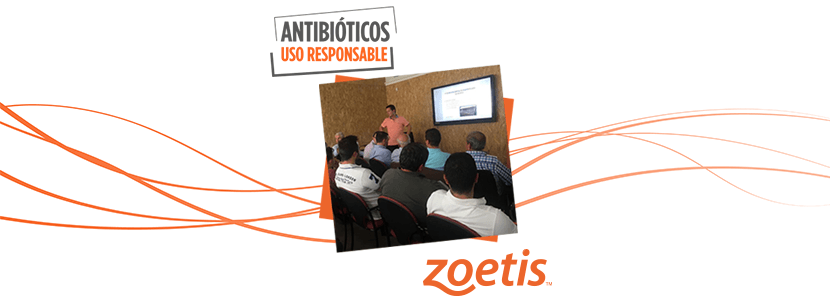 Zoetis imparte formación sobre la correcta reducción de antibióticos en mamones