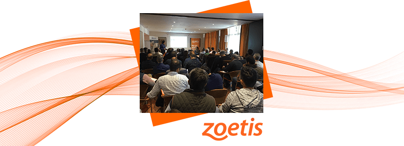 Zoetis realiza una jornada sobre recría en ovino dirigida a veterinarios