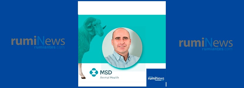 Entrevistamos a Jorge Gutiérrez, de MSD Animal Health