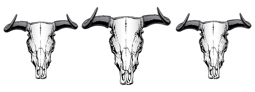 Centro Nacional del Buey-Uro, carne de alta calidad