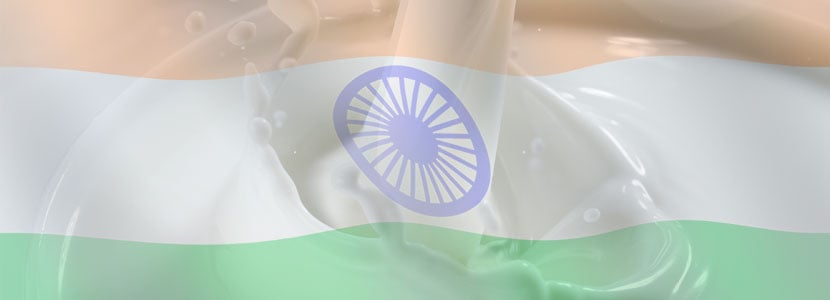 La India es el primer productor mundial de leche después de EEUU