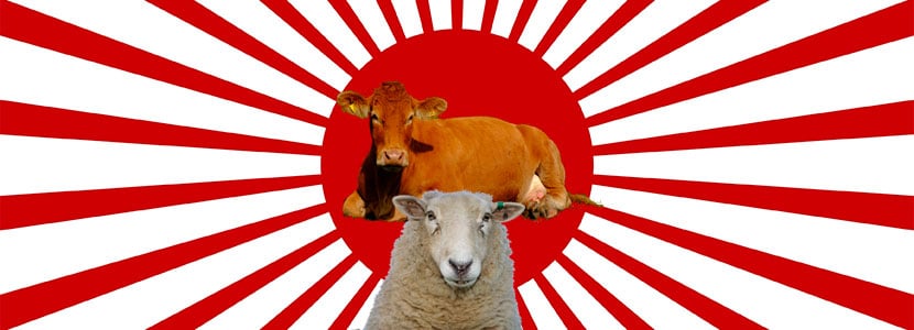 Japón y el mercado de la carne de vacuno y ovino
