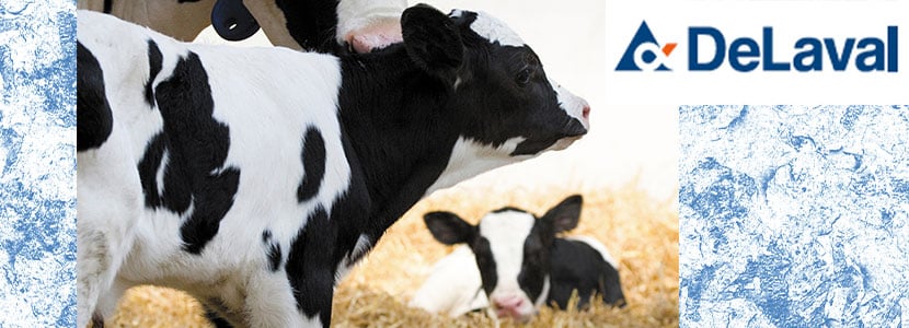 DeLaval presenta su nueva incorporación de sistemas de ordeño