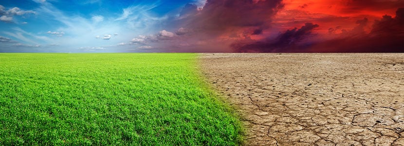 El seguro agrario ante el desafío del cambio climático
