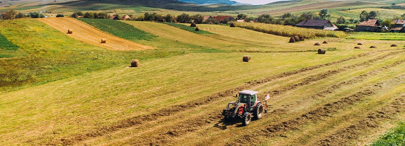 Reglamentos de transición de la Política Agraria Común