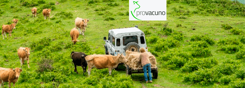 El sector del vacuno refuerza su compromiso con el medio ambiente